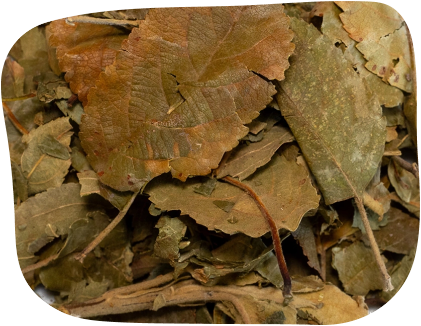 Dried apple leaves for rabbits and other small pets from The Hay Shed