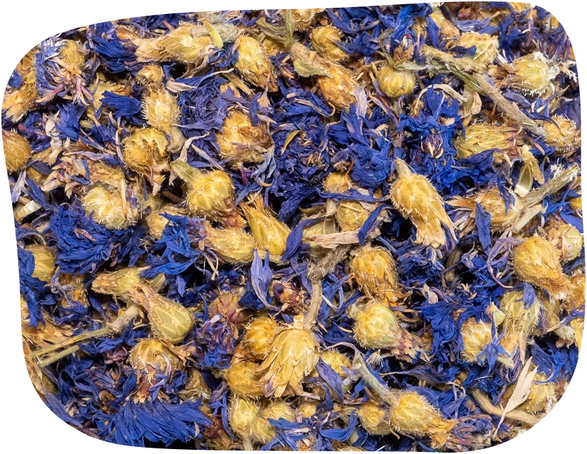 dried blue cornflowers by The Hay Shed
