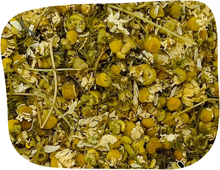 dried chamomile flowers offer natural healing and calming properties, ideal for soothing anxious and nervous animals.