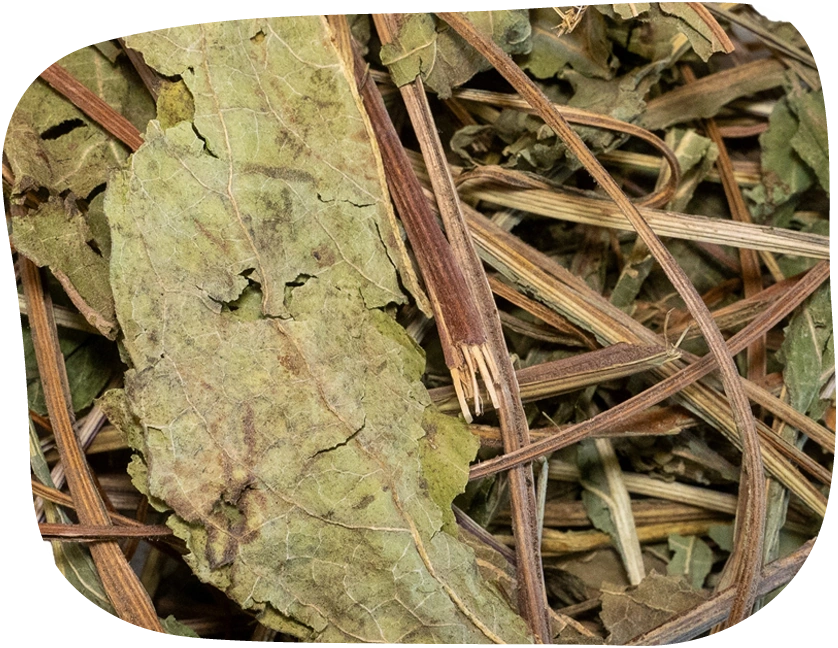 These dried echinacea leaves from The Hay Shed are high in fibre and can aid the digestive system of your rabbit or other small pet