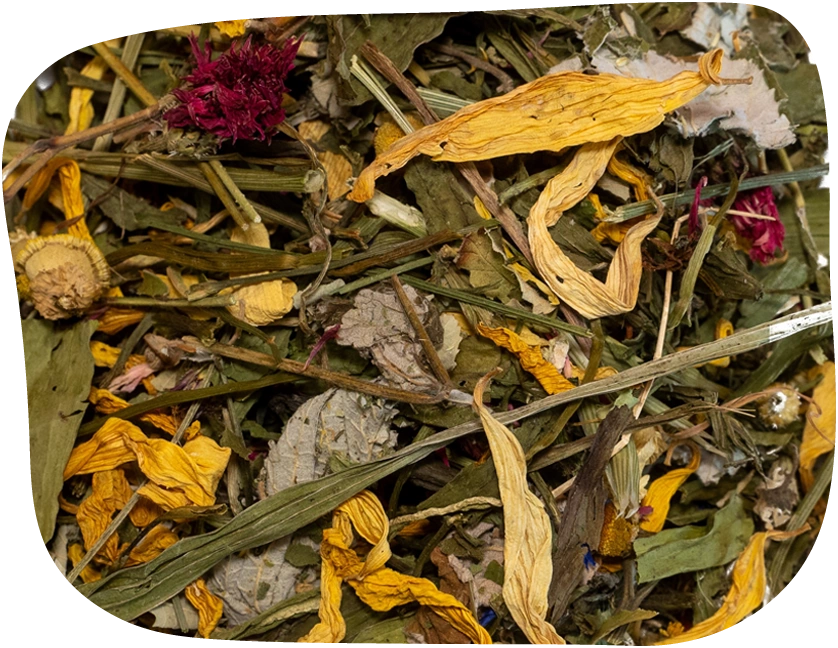 This forage mix from The Hay Shed will help promote your pet's immune system packed with flowers, leaves and stalks.