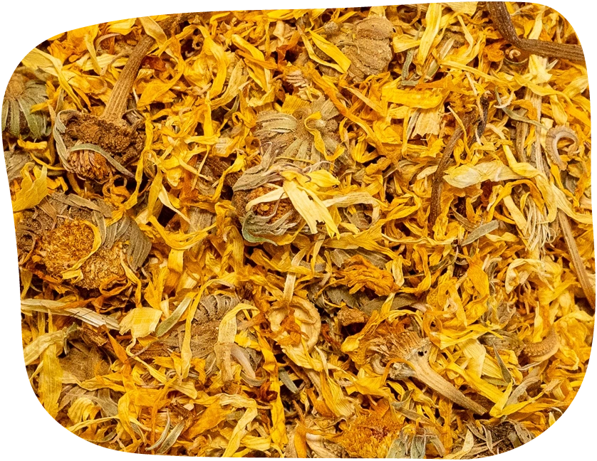 dried marigold flowers