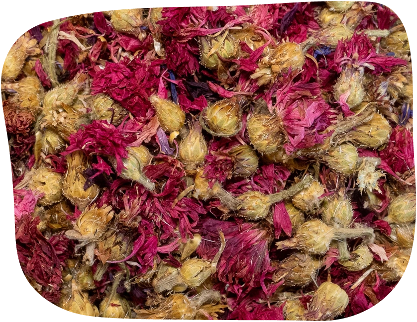 dried red cornflowers by The Hay Shed