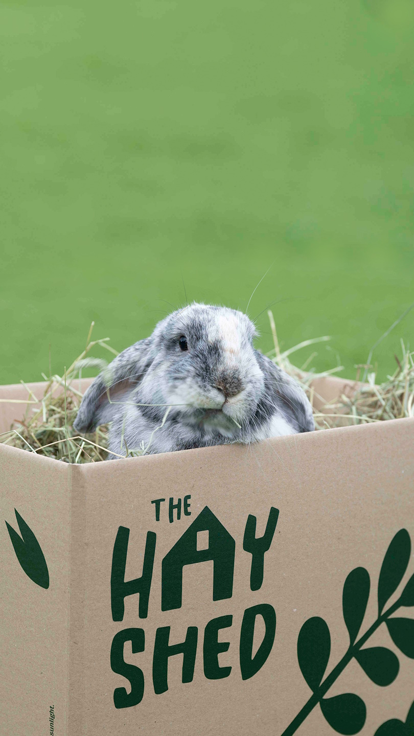 The Hay Shed - rabbit in a box