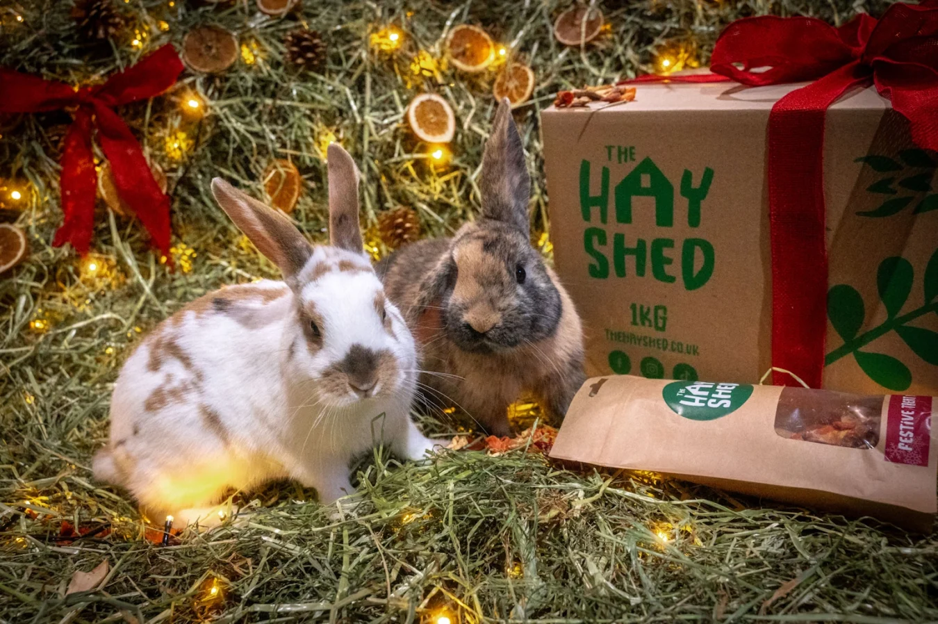 Two rabbits beside festive treat mix and festive forage from The Hay Shed