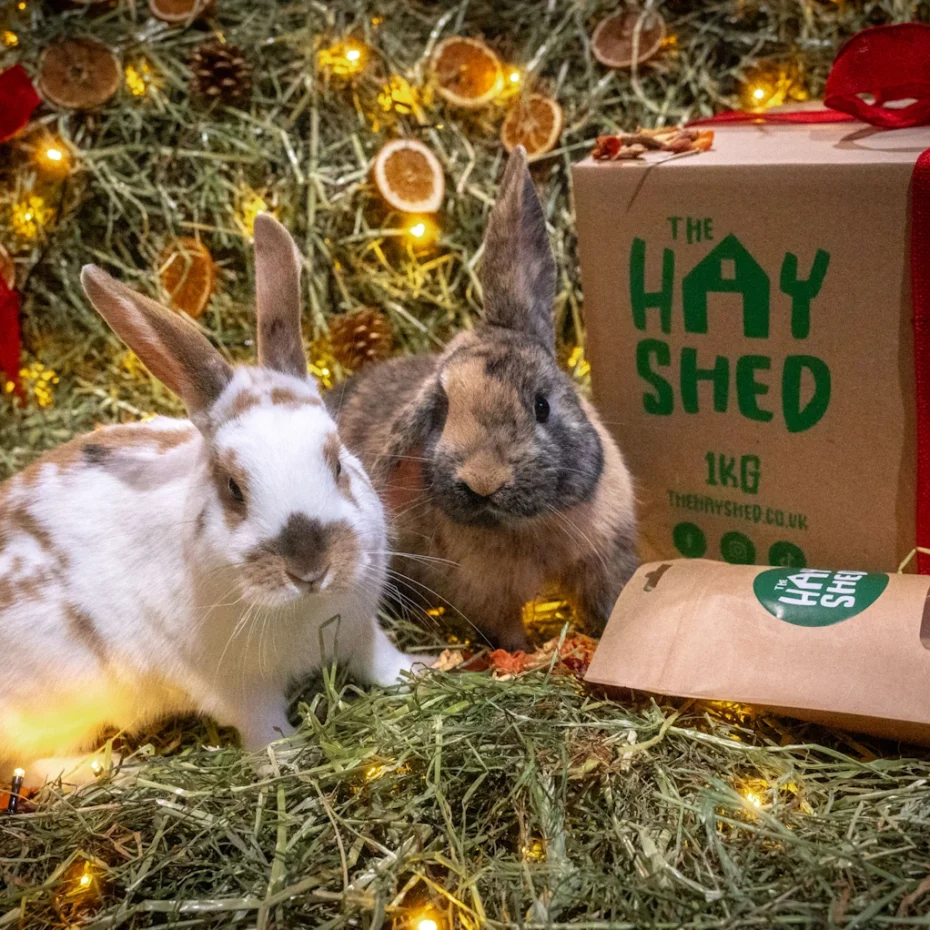 Two rabbits beside festive treat mix and festive forage from The Hay Shed