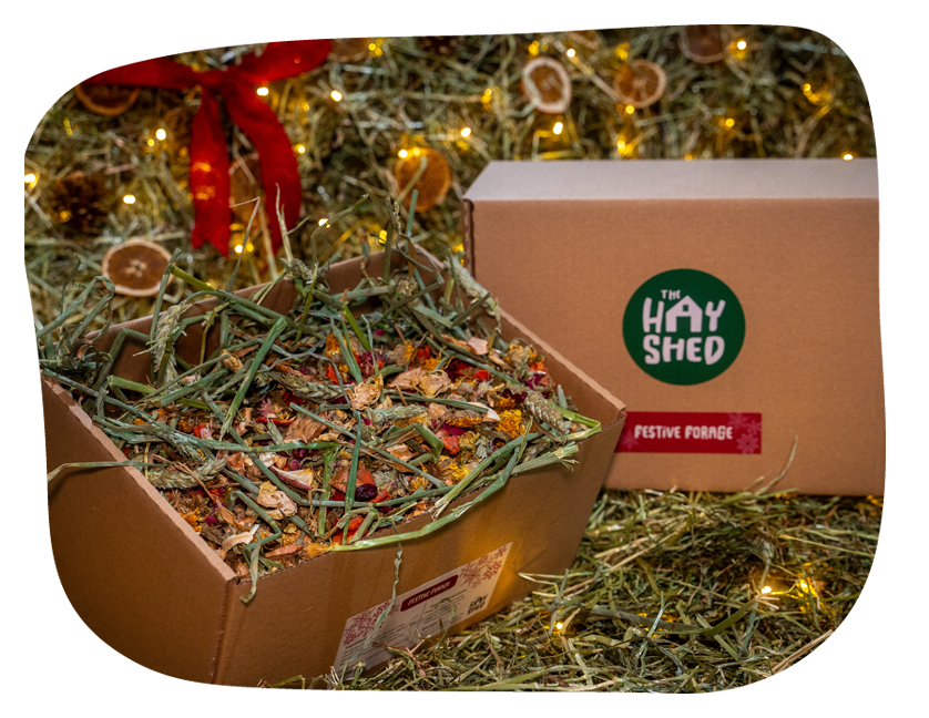 The Hay Shed's Christmas forage box