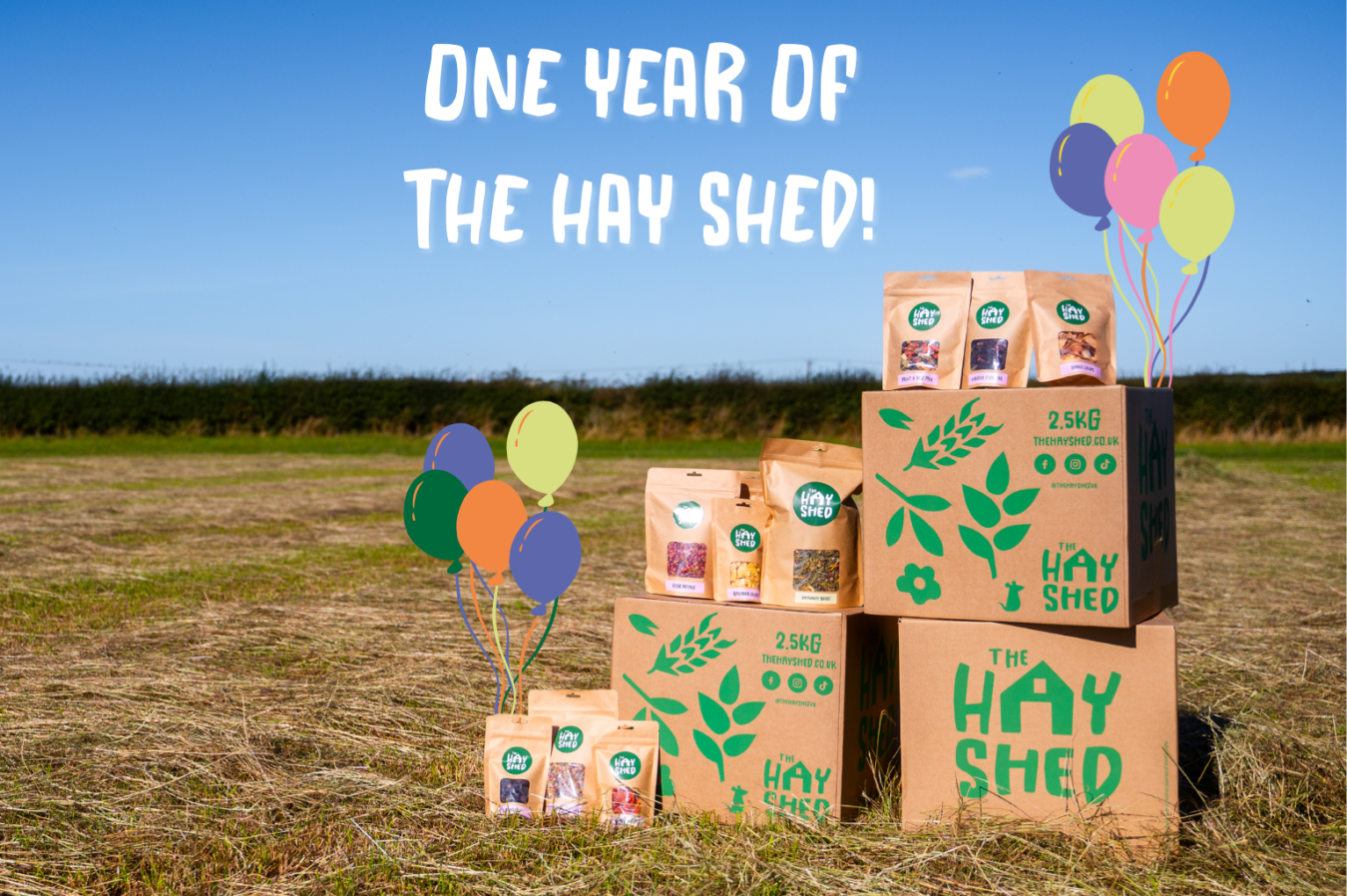 one year of the hay shed