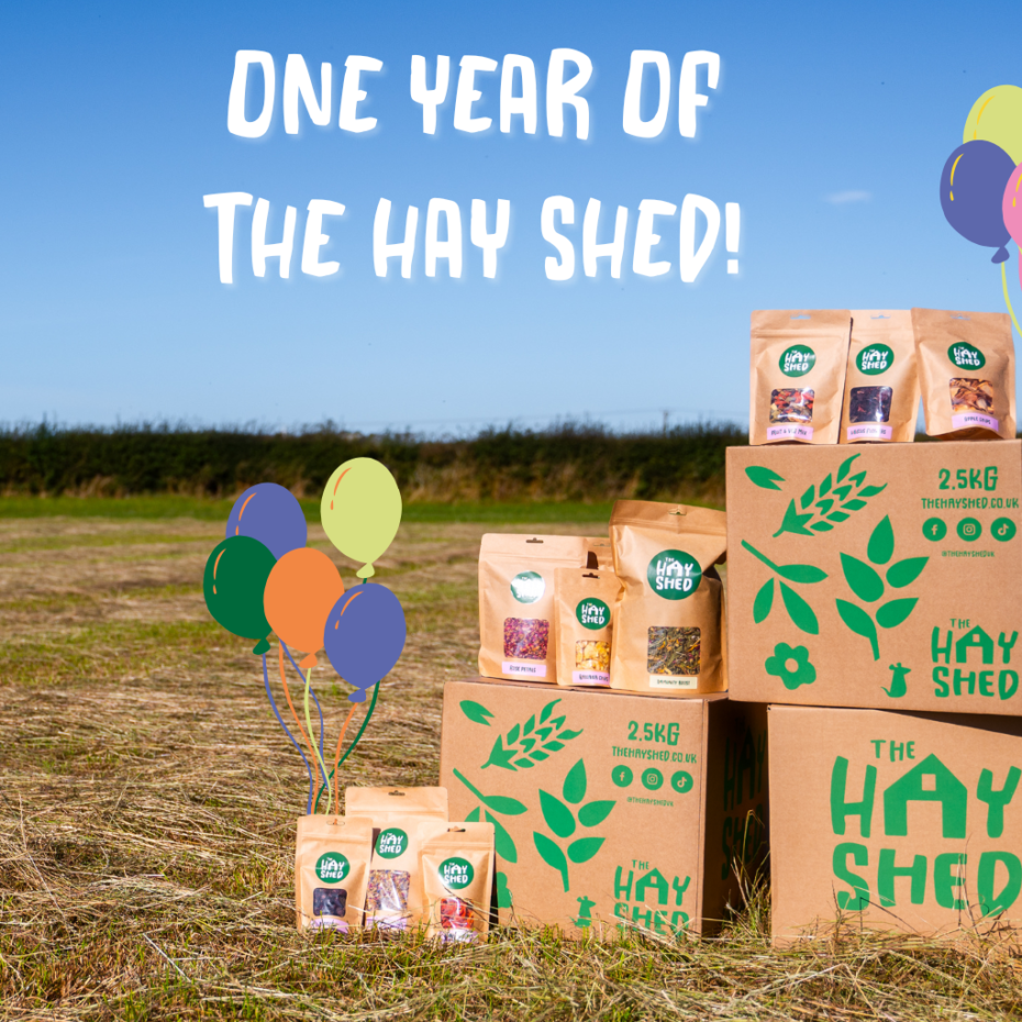 one year of the hay shed