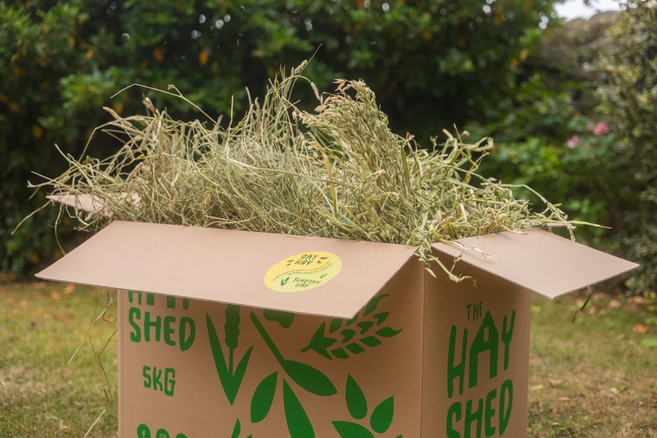 The Hay Shed 5kg box full of hay for small pets with Oat hay and Timothy hay