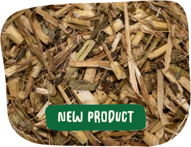 echinacea stems and flowers mix from The Hay Shed with New Product banner
