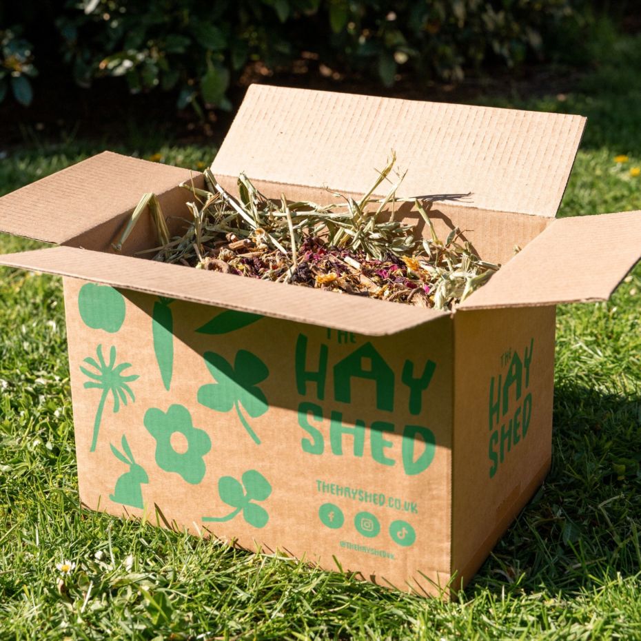 superfood forage new & improved